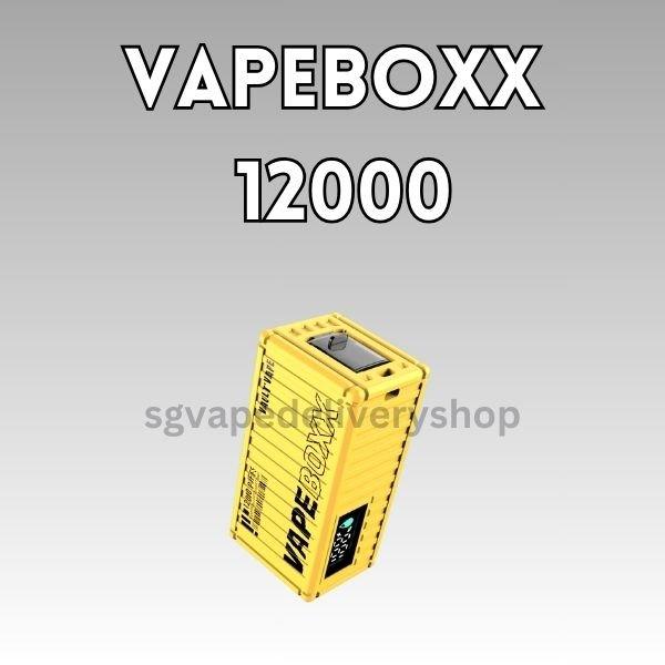 Vapebox 12000 Puffs - sgvapedeliveryshop