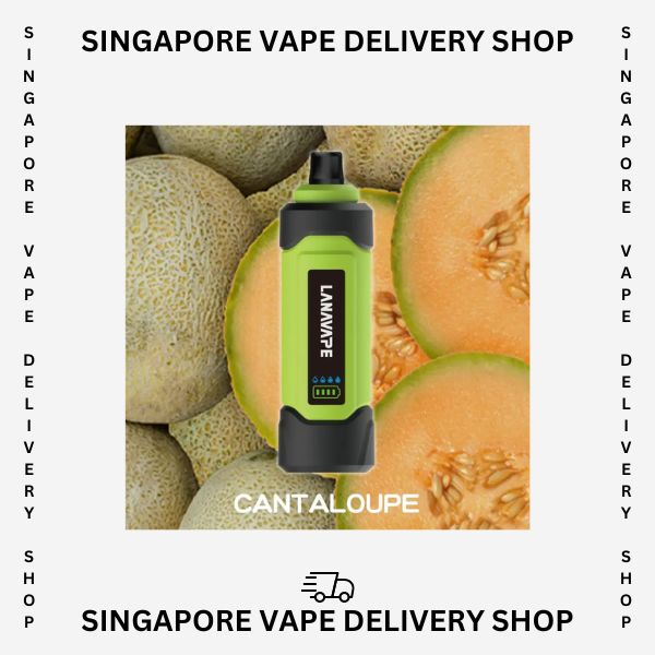 Lana-starship-15000-cantaloupe-(sg vape delivery shop)